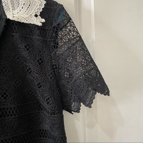 NWT Zara Black Lace Collared Shift A Line Dress XS - Picture 7 of 14